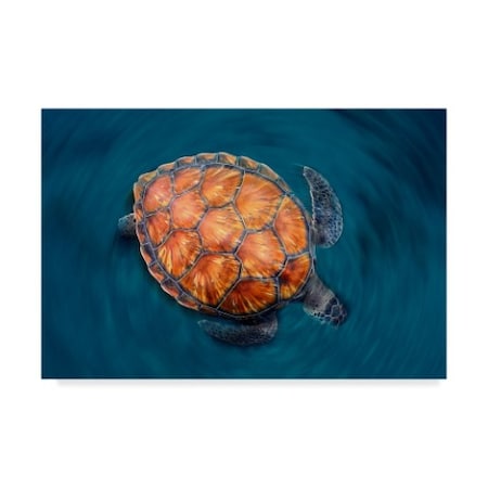Sergi Garcia 'Spin Turtle' Canvas Art,22x32